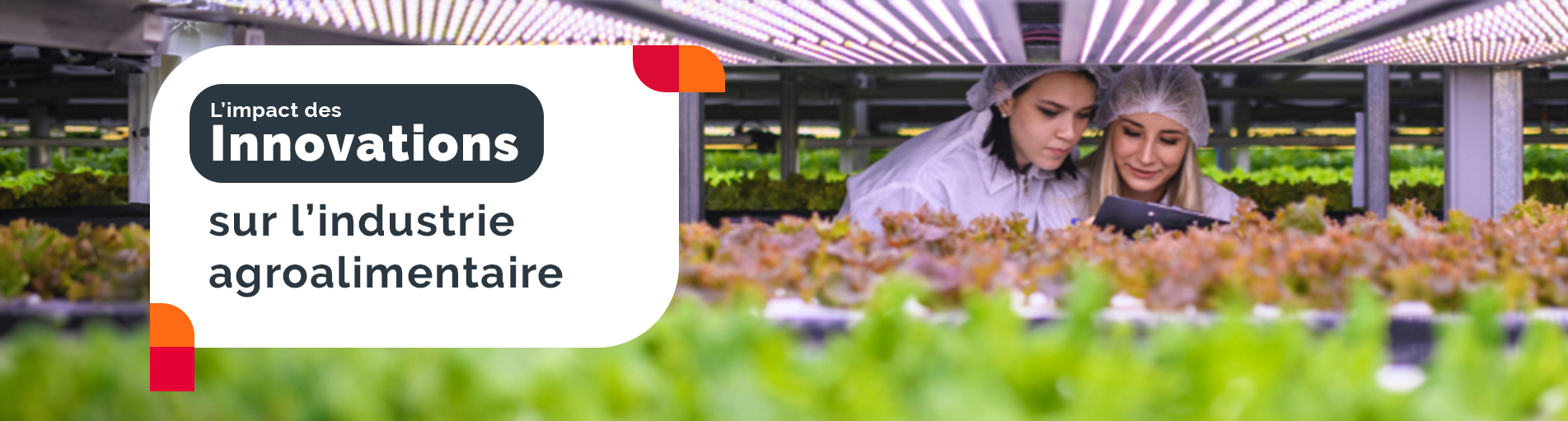 L&rsquo;impact des innovations sur l&rsquo;industrie agroalimentaire
